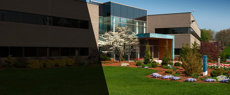 Silver Springs Landscapers