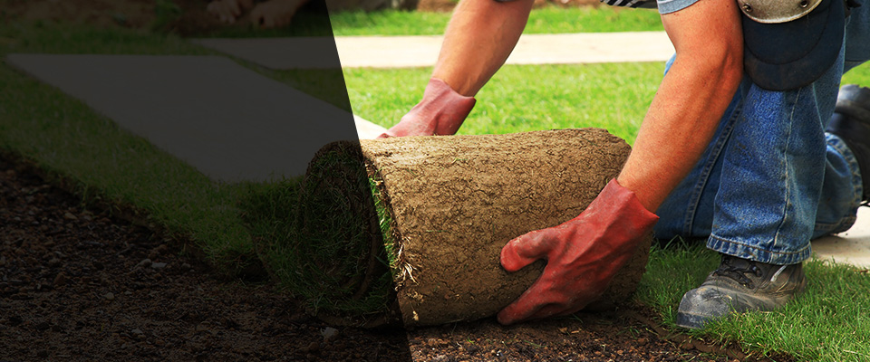 Silver Springs Landscapers